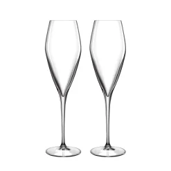 Atelier prosecco champagneglas 27 cl 2 stk