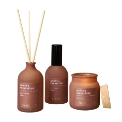 Duftsæt Brun Mist Mynte/Eukalyptus