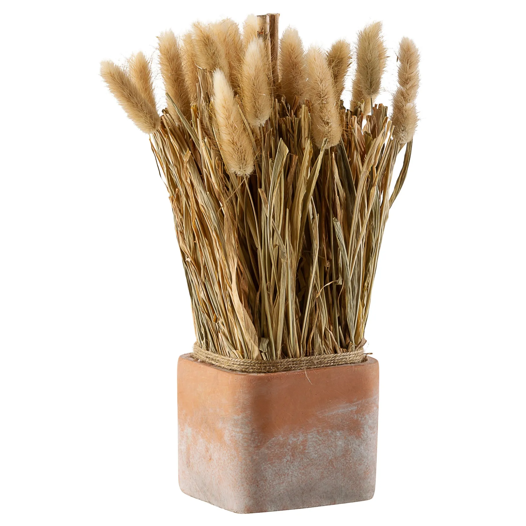 Evighedsblomst i urtepotte