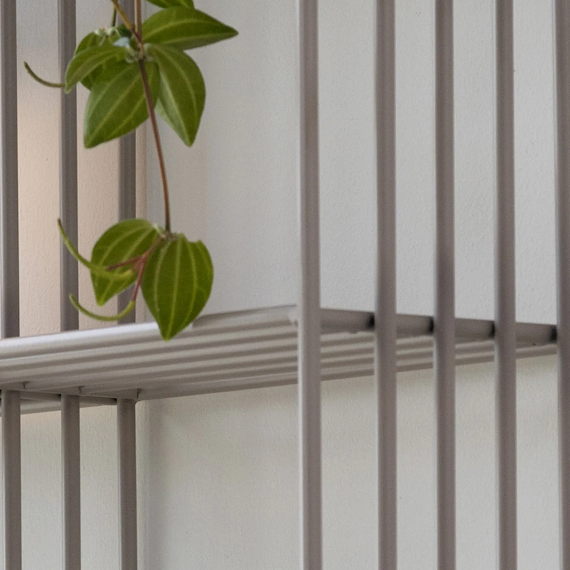 Nohr vægreol m. rum