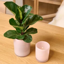 Ocean fyrfadsstage H14,5 cm