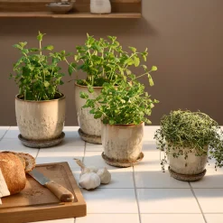 Pio II Ø20,5 cm underskål