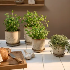 Pio II urtepotte Ø12 cm