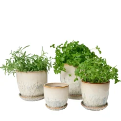 Pio II urtepotte Ø12 cm