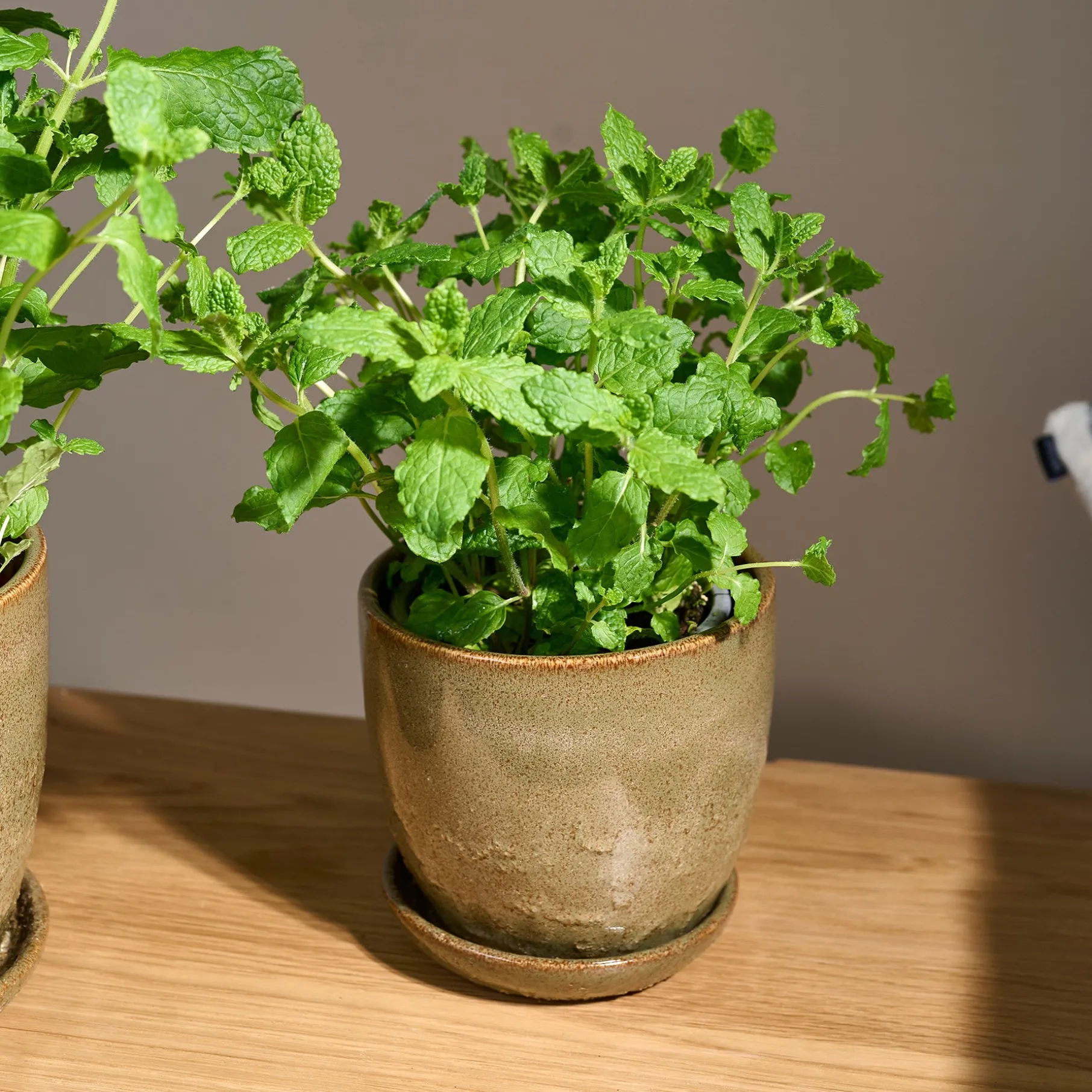 Pio II urtepotte Ø12 cm