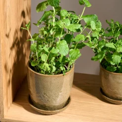 Pio II urtepotte Ø14 cm