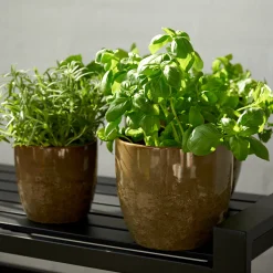 Pio II urtepotte Ø20,5 cm