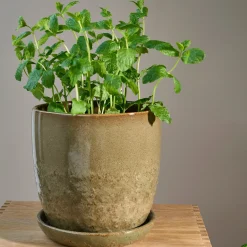 Pio II urtepotte Ø20,5 cm