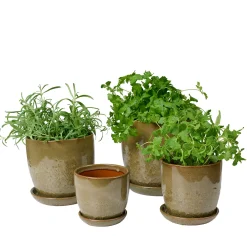 Pio II urtepotte Ø20,5 cm