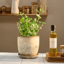 Pio II urtepotte Ø17 cm