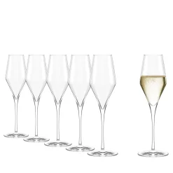 Quatrophil champagneglas 290 ml 6 stk