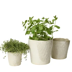 Sculpted urtepotte Ø12,5 cm