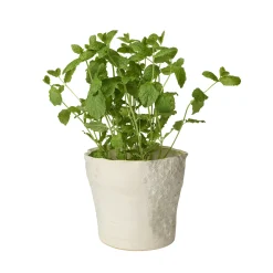 Sculpted urtepotte Ø17 cm