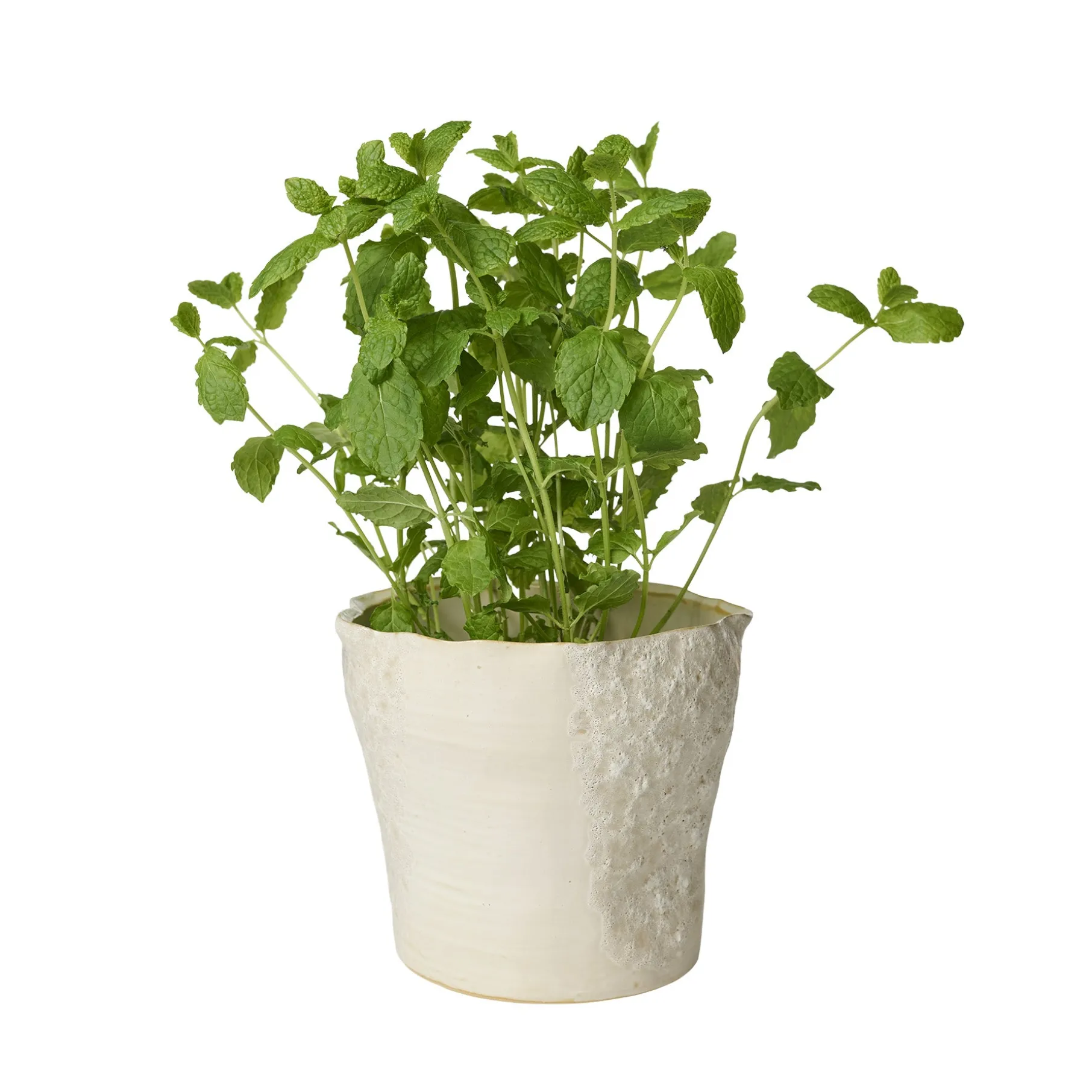 Sculpted urtepotte Ø17 cm