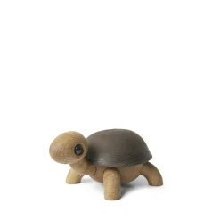 Speedy skildpaddeunge