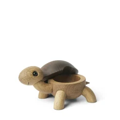 Speedy skildpaddeunge