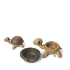 Speedy skildpaddeunge